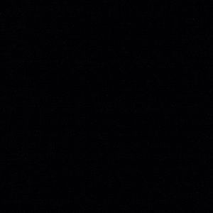 Meet your Posher, Freddy